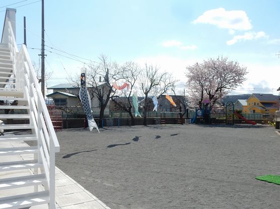 広い園庭には桜の他、栗・クルミ・ぶどうの木が植えられ、毎年収穫が楽しめます。